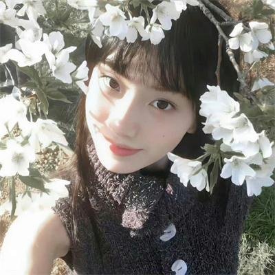 艳阳春水惊鸿